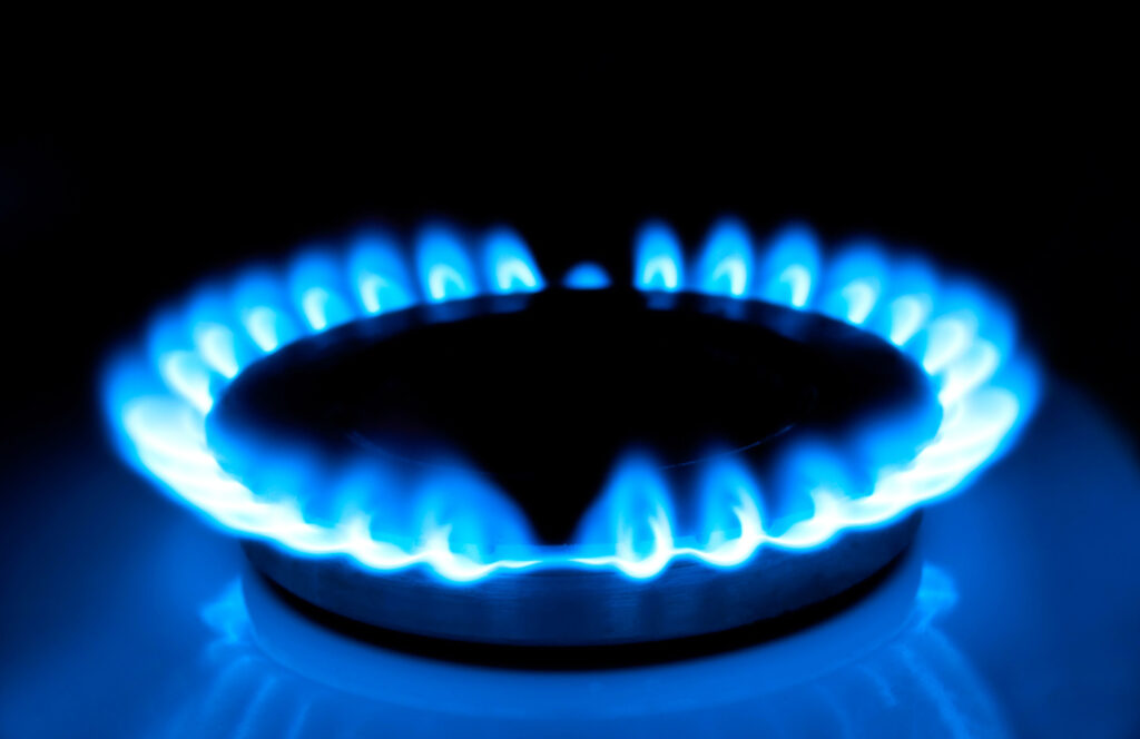 Servicio tecnico gasodomesticos