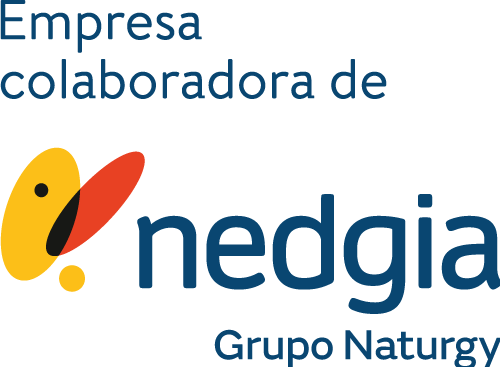 logo nedgia